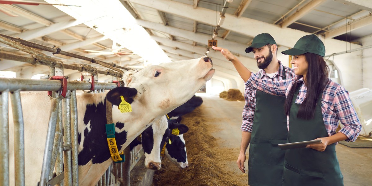 Aproveitando a tecnologia RFID para a gestão da agricultura de precisão