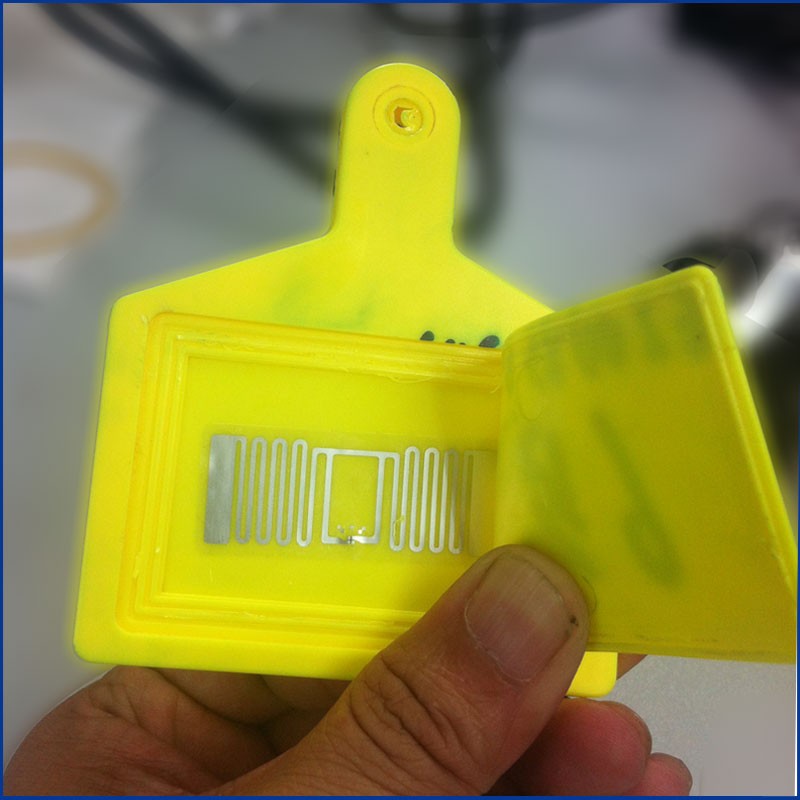 Etiquetas auriculares RFID UHF de alta qualidade para animais JT-307