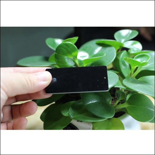 Etiqueta metálica UHF JT-6025