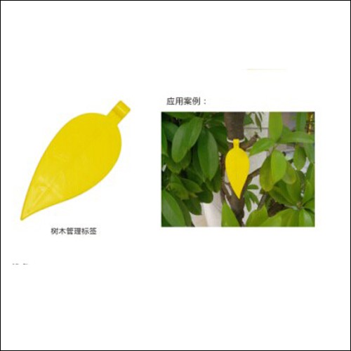 Etiqueta RFID passiva para chumbo